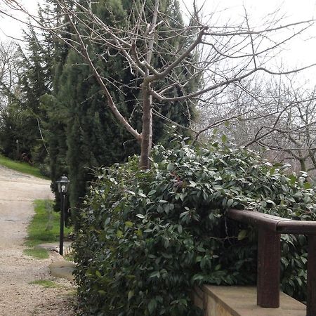 Acuto Agriturismo Le Valli酒店 外观 照片
